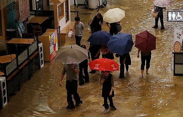 Massive clean-up in Hong Kong after typhoon brings trail of destruction