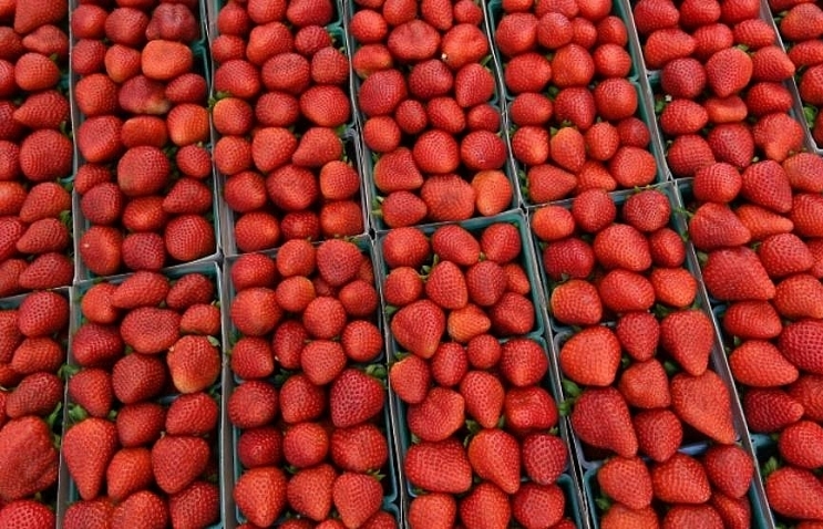Needles found in strawberries at New Zealand's Countdown supermarket: Report