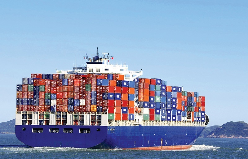 Container cost chaos adds to baulking domestic limitations