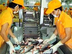 Floor prices set for tra fish exports