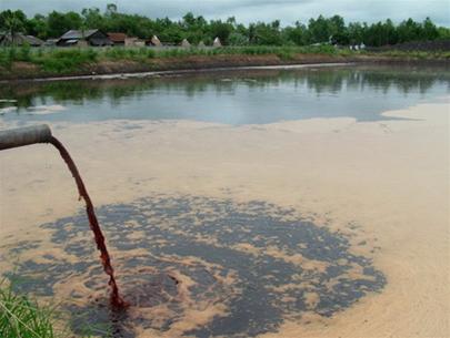 Heavy metals poisoning Dong Nai environment