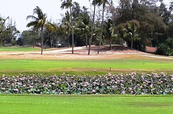 phan thiet golf course removed