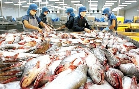 Demand for Vietnam seafood on the rise