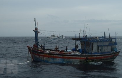 Three Binh Dinh fishermen adrift at sea saved