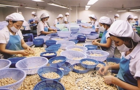 Vietnam calls for more EU investment in agriculture