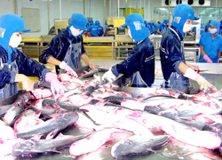 Seafood plants struggle with lack of raw material