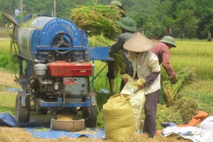 Vietnam’s rice export likely to set record high this year