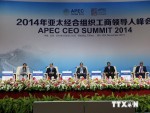 State President suggests businesses enhance regional connection at APEC