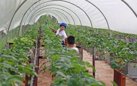 More training needed in high-tech agriculture