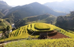 Tourism helps improve ethnic life in Mu Cang Chai