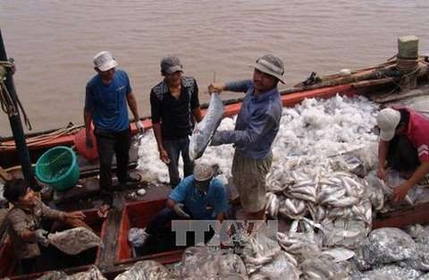 Use of fish byproducts could lead to higher profits: experts