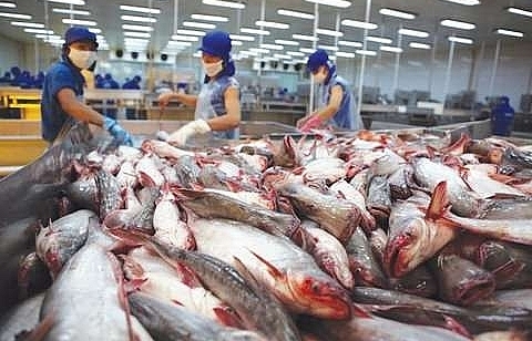 VASEP: Vietnam tra producers should plan to face China farming