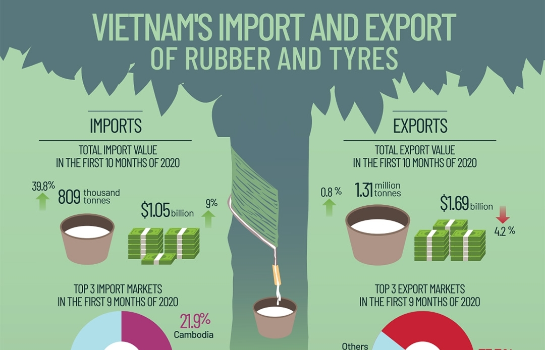Vietnam's import and export of rubber and tyres (Infographics)