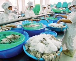 Seafood export’s bountiful catch
