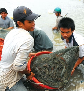 Investment confab   set for Mekong Delta