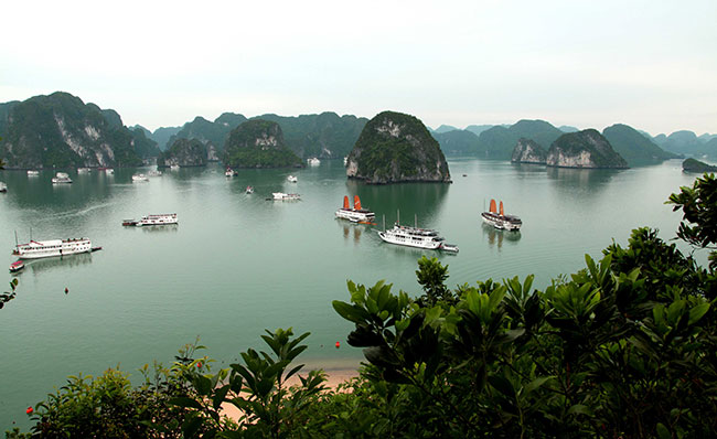 belgiums rent a port joins project to clean halong bay