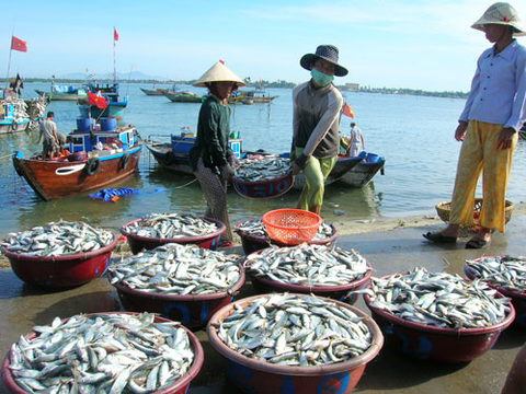 khanh hoa to build fisheries centre