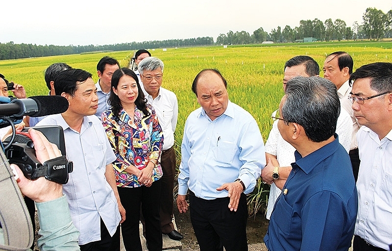 Fertile land for high-tech agriculture