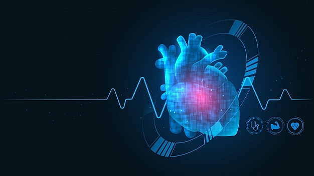 bayer and nhcs to set up centre of excellence for explorative cardiovascular studies