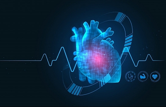 Bayer and NHCS to set up Centre of Excellence for Explorative Cardiovascular Studies