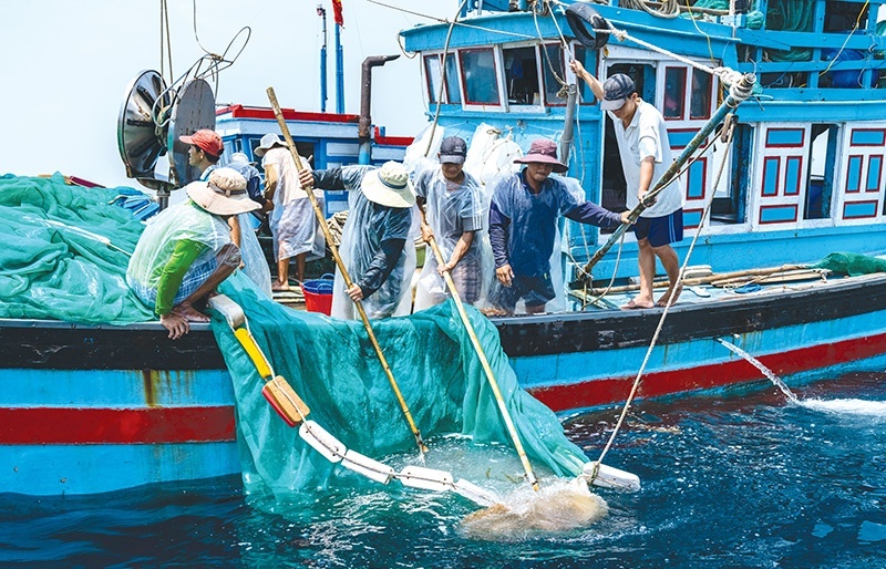 Phu Yen makes full use of advantages to set up marine economy