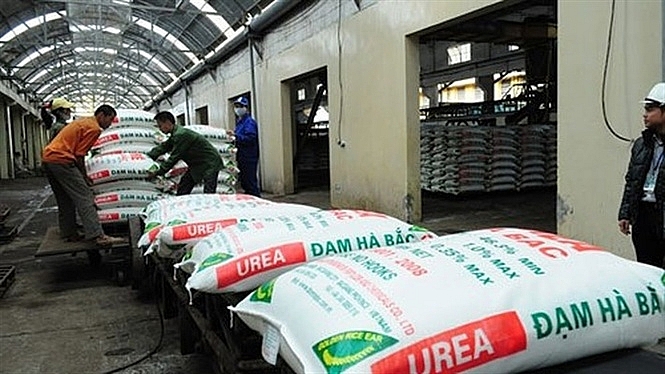 inundating losses may force ha bac fertiliser out of business
