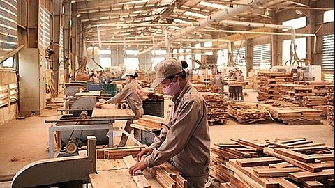 EU welcomes Decree on Timber Legality Assurance System of Vietnam