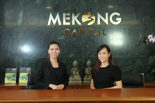 mekong capital wholly divests loc troi group