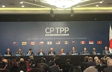 Moody’s: CPTPP benefits shortened without US