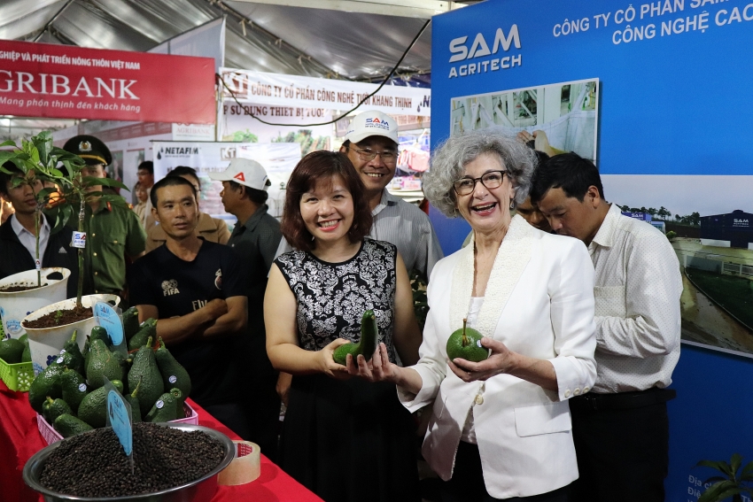 dak nong avocado gets new zealand support for exports