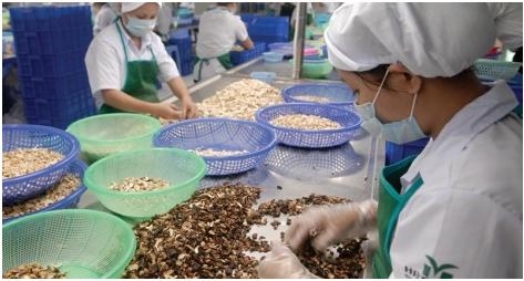 vietnamese agricultural products win more export orders to europe