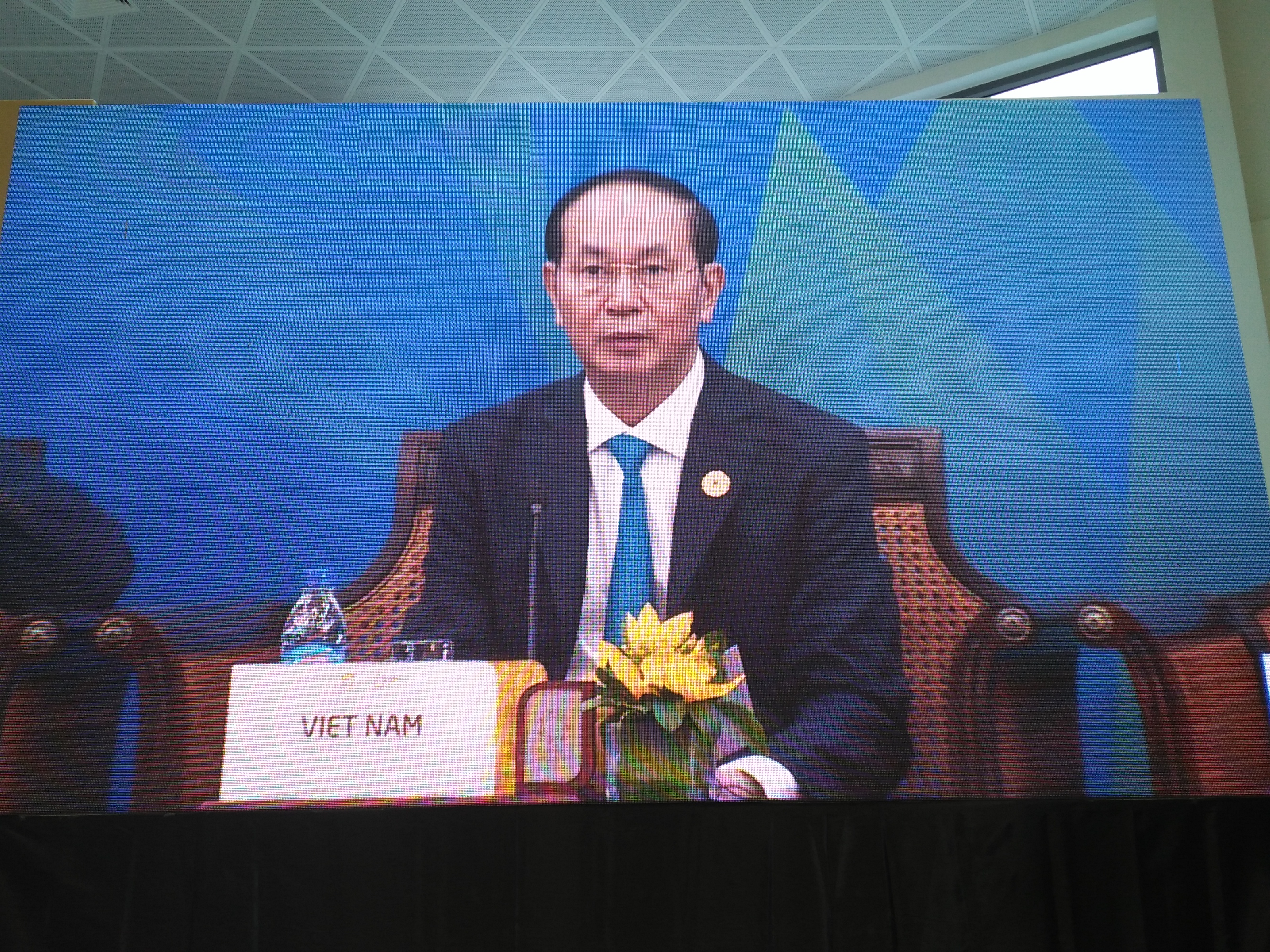 Vietnam offers commitments to beef up APEC co-operation 