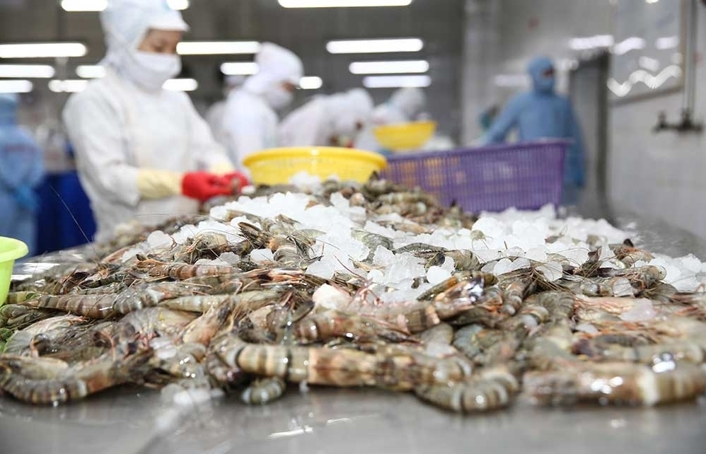 US removes anti-dumping tax on Minh Phu shrimp