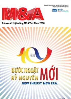 Vietnamese M&A market 2018
