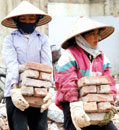 WTO Weighing up changes to labour law and standards