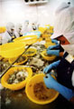 Shrimp farmers to take on US anti-dumping suit