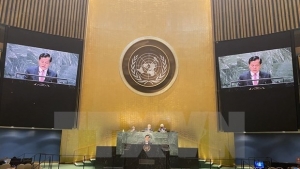 UN leader lauds Vietnam’s commitments to climate change response