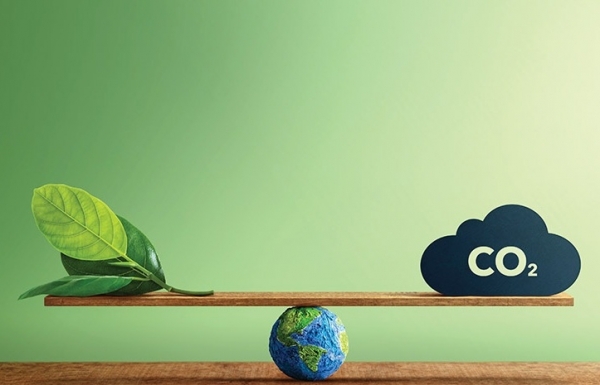 Green standards top policies for fresh foreign ventures - Vimarsana News