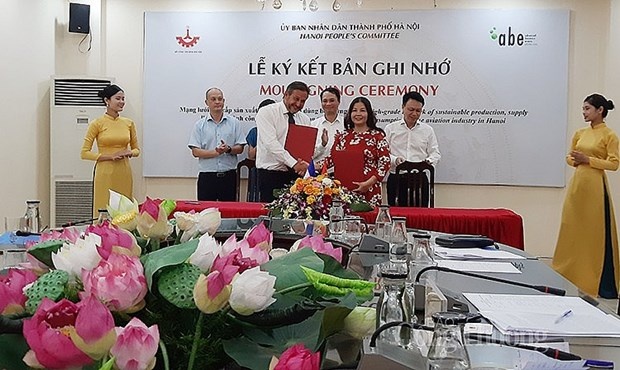Hanoi partners up with French business in aviation industry | Business | Vietnam+ (VietnamPlus)
