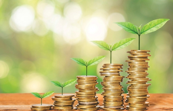 Top institutions seek green credit answers - Vimarsana News