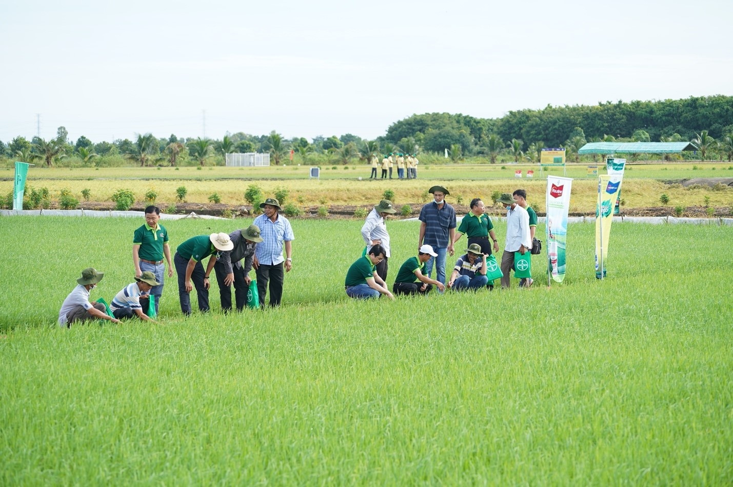 Bayer Vietnam demonstrates sustainable agriculture at Agritechnica Live 2022