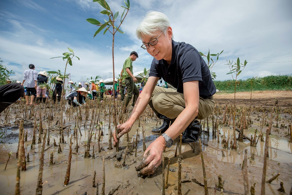 APL Logistics expresses its pride after planting a hectare of mangrove trees in Tra Vinh province