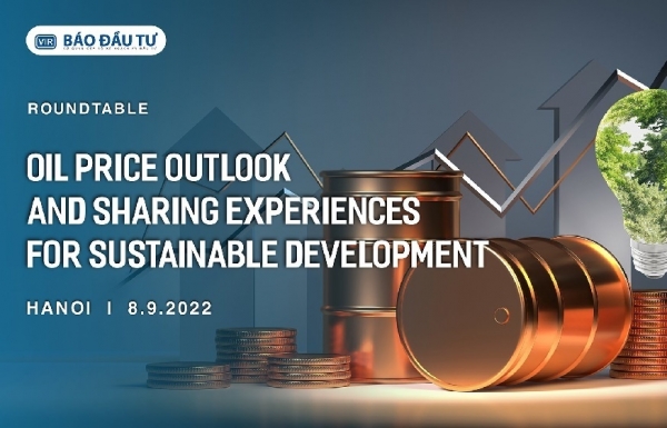 Roundtable: Oil Price Outlook and Sharing Experiences for Sustainable Development - Vimarsana News