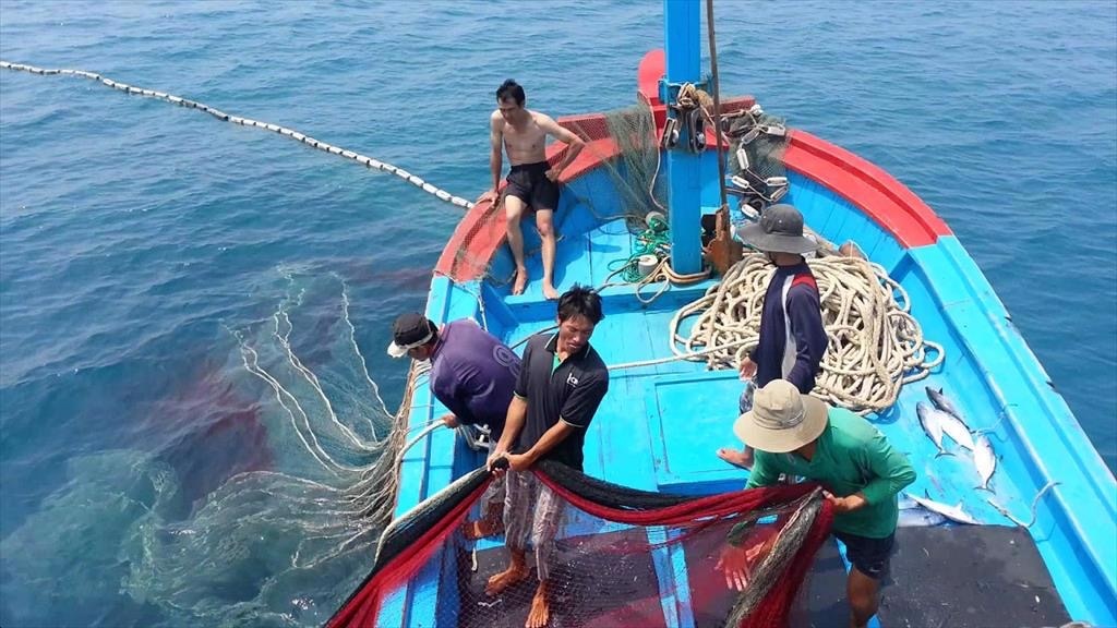 EC to visit Vietnam to examine measures against IUU fishing
