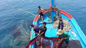 EC to visit Vietnam to examine measures against IUU fishing