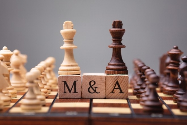 M&A deals in Vietnam reach nearly $5 billion in H1 - Vimarsana News