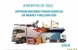 Vietnam records trade surplus of nearly 4 billion USD in eight months