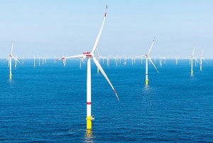 Investors wait for wind power administration system