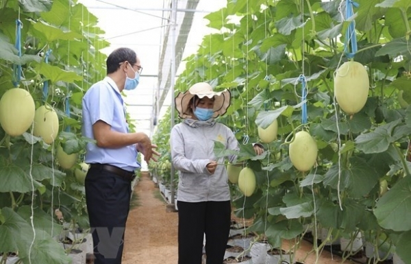 Agricultural sector pushes green growth in 2021-30 action plan - Vimarsana News
