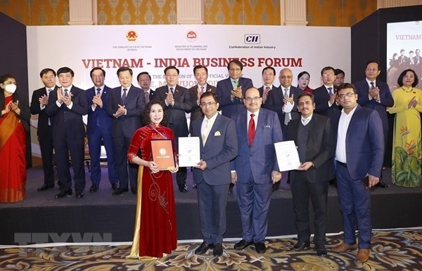 Vietnam, India hold great potential for supply chain cooperation: Analysts